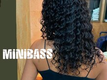 ミニバス(MiNiBASS)