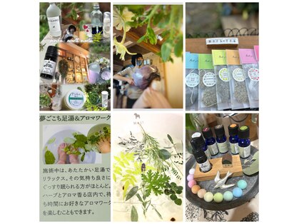 ピリカ(pirika)の写真