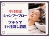 【1月平日限定】シャンプーブロー&プチケア1ヶ月間し放題 11000