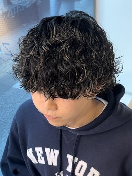 ゼストプール(ZEST POOL) 波巻きプードル