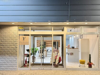 フェリーチェ(felice)の写真