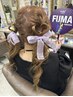 【イベント・ライブ】ヘアセット