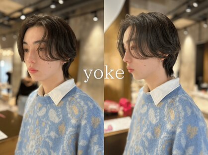 ヨーク(yoke)の写真