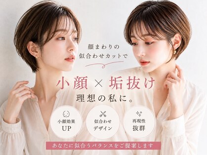 SOLEA【ソレア】【8/4 NEW OPEN(予定)】の写真
