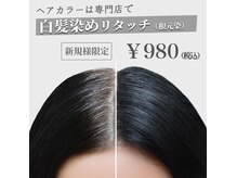 カラーイン 所沢店