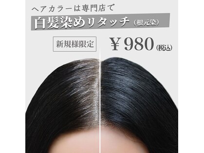 カラーイン 所沢店の写真
