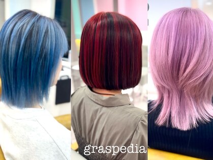 グラスペディア(graspedia)の写真