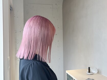 ティム(tim)の写真