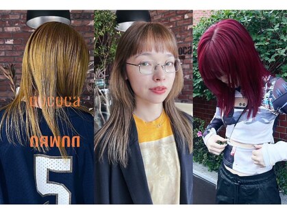 ボコカ(bococa)の写真