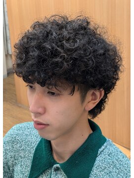 トウキョウケン(Tokyoken) プードルパーマツーブロックスタイル