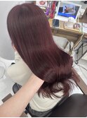 韓国風ラベンダー