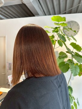 ギネス(Giness) シルキーボブ