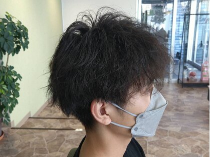 エアー(air)の写真