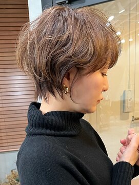 エイチ(H) 白髪ぼかしハイライト/白髪ぼかし/白髪手術