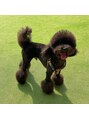 ルアナ ヘア アンド トリートメント(Luana) トイプードル飼ってます!動物大好きです☆
