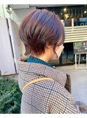 ソフトウルフ