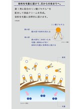 アディクシーカラーとは2