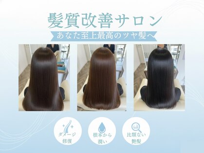 オルガ(oruga)の写真