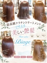 ビアージュ(Biage)&nbsp;サラサラの艶髪へ♪