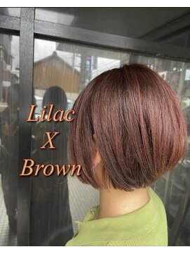 ネリネ(Nerine) ライラックブラウン