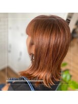 シード(SEED)&nbsp;オレンジブラウン