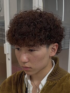 ササ 京都河原町店(33 SASA) プードルウルフ京都四条河原町