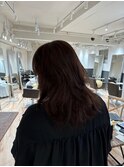 ハイライトカラー艶カラー8.22
