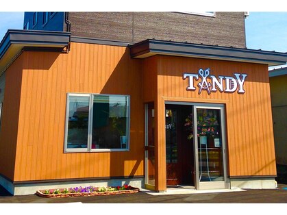 ヒールヘアータンディー(Heal Hair TANDY)の写真