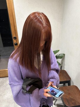 ソイルバイクレアール 新田辺(soil by CREAR) レッドブラウン