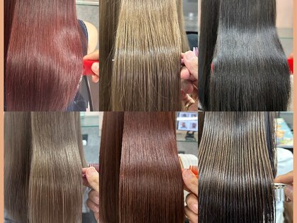 シュシュ(chou chou)の写真