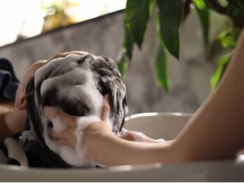 shumore az 北習志野【シュモレ アズ】髪質改善/縮毛矯正/白髪染め/ヘッドスパ/men's