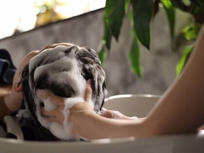 シュモレアズの写真