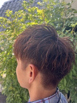 ネオエストログ(NeoestLog) 栗色カラー