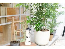 茗荷谷で圧倒的な支持を受ける美容室【BeautismElm茗荷谷】☆ご来店イメージをご紹介☆