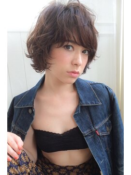 ランプ ヘアー(lamp hair) アメリカンショートヘアー♪