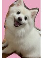 ルートファイブ(ROUTE FIVE) 我が家の犬。