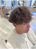 波巻きプードル