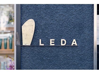 レダ(LEDA)の写真