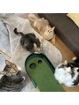 クラッシー(CLASSY)&nbsp;猫大好きで、４匹と一緒に暮らしてまーす！