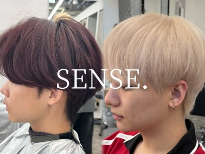 センス(SENSE.)の写真