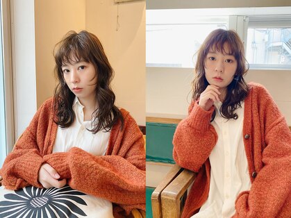 シファ(sifa)の写真