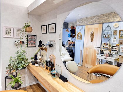 ペリ(peri)の写真