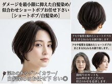 《根来光》ダメージを最小限に抑えた白髪染め/似合わせショートボブお任せ下さい［ショートボブ/白髪染め］
