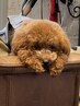 【ご新規のお客様は必ず入れてください】カウンセリング ¥0