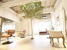アトリエパーランプ(Atelier par LAMPE)