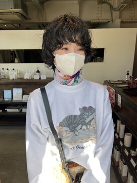 イリス(Iris.) マッシュウルフカールおも