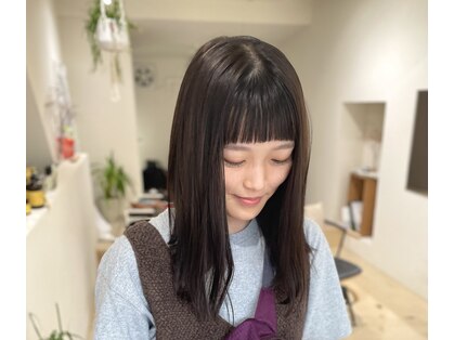 イトア(itoa)の写真