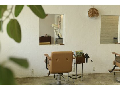 ノーム(NOOM)の写真