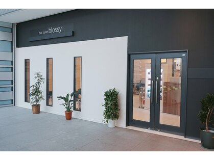ブロッシー(blossy.)の写真