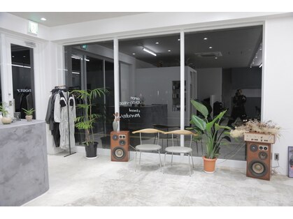 ノーティ(nouty)の写真